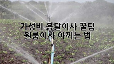 가성비 용달이사 꿀팁🍯 원룸이사💸 아끼는 법!