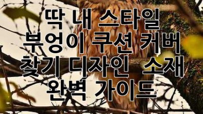 딱! 내 스타일 부엉이 쿠션 커버 찾기: 디자인 & 소재 완벽 가이드