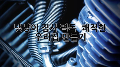 🐶🐱 댕냥이 집사 필독! 🐾 쾌적한 우리집 만들기 ✨