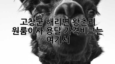 고창군 해리면 왕촌리 원룸이사 용달, 가격비교는 여기서!
